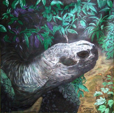 Peinture intitulée "Tortuga de Galápagos" par Andrè Degel, Œuvre d'art originale, Acrylique
