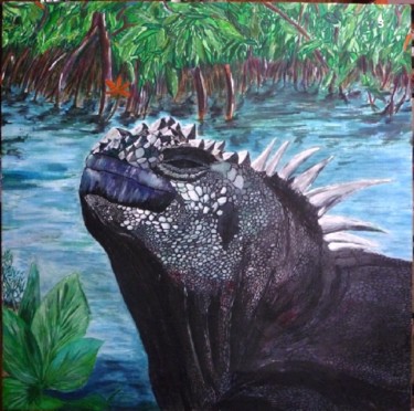 Malerei mit dem Titel "Iguana Marina Galap…" von Andrè Degel, Original-Kunstwerk, Acryl