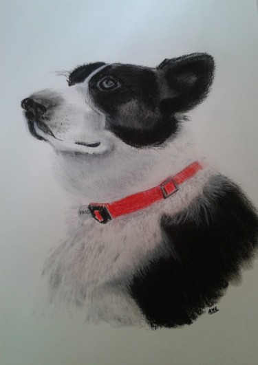 Desenho intitulada "IAGO (Corgy)" por Andrée Mercier, Obras de arte originais, Pastel