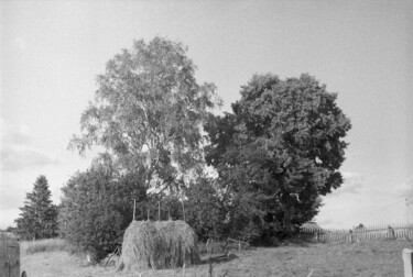 Fotografie mit dem Titel "Скирд под сенью рощи" von Andreï Barinoff, Original-Kunstwerk, Analog Fotografie