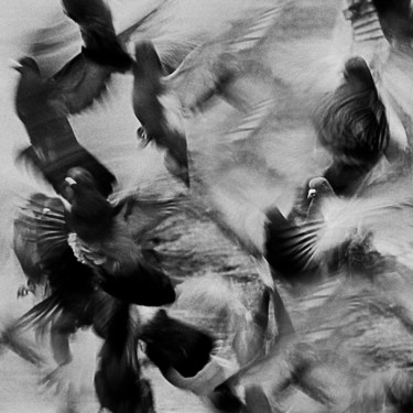Photographie intitulée "Взлет" par Andrey Petrosyan, Œuvre d'art originale, Photographie numérique