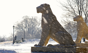 Fotografía titulada "Снежный лев" por Andrey Petrosyan, Obra de arte original, Fotografía digital