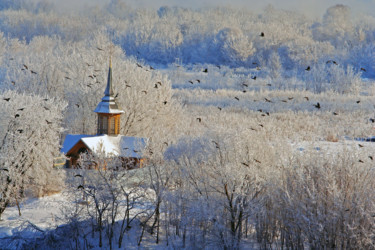 Photographie intitulée "Мороз и солнце" par Andrey Petrosyan, Œuvre d'art originale, Photographie numérique