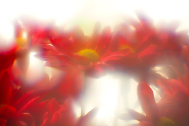 「Солнечные цветы」というタイトルの写真撮影 Andrey Petrosyanによって, オリジナルのアートワーク, デジタル