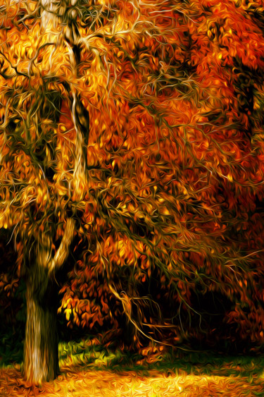 Photographie intitulée "Осенний лес" par Andrey Petrosyan, Œuvre d'art originale, Photographie manipulée