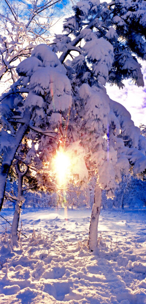 Photographie intitulée "Зимнее солнце" par Andrey Petrosyan, Œuvre d'art originale, Photographie argentique
