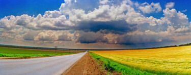 Фотография под названием "Дорога в дождь" - Andrey Petrosyan, Подлинное произведение искусства, Пленочная фотография