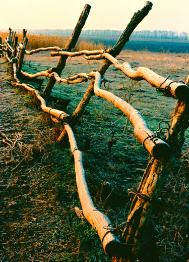 Фотография под названием "Осеннее утро" - Andrey Petrosyan, Подлинное произведение искусства, Пленочная фотография