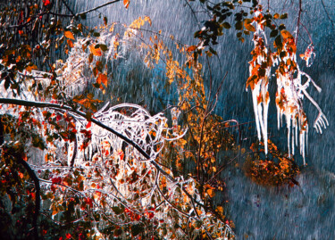 Фотография под названием "Ледяной дождь" - Andrey Petrosyan, Подлинное произведение искусства, Пленочная фотография