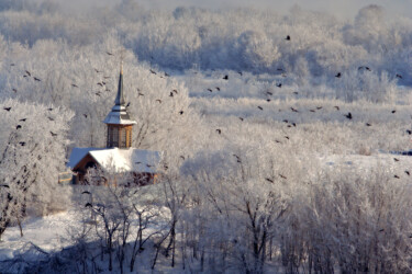 Fotografía titulada "Зимняя сказка" por Andrey Petrosyan, Obra de arte original, Fotografía digital