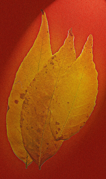 Photographie intitulée "Последние листья" par Andrey Petrosyan, Œuvre d'art originale, Photographie numérique