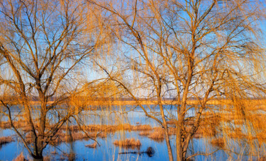 Photography titled "Весенний вечер" by Andrey Petrosyan, Original Artwork, Analog photography