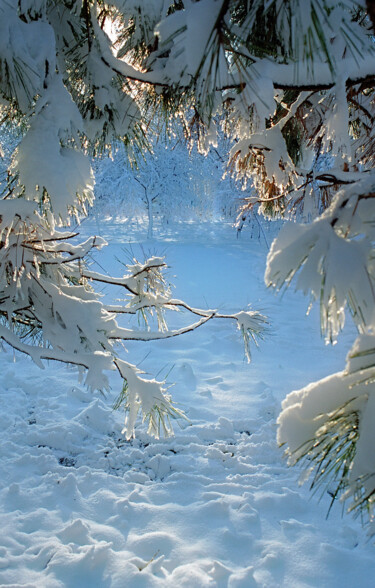 Photography titled "Новогодняя сказка" by Andrey Petrosyan, Original Artwork, Analog photography