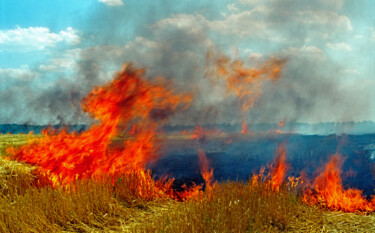 Фотография под названием "Степной пожар" - Andrey Petrosyan, Подлинное произведение искусства, Пленочная фотография