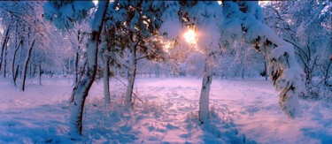 Фотография под названием "Морозное солнце" - Andrey Petrosyan, Подлинное произведение искусства, Пленочная фотография