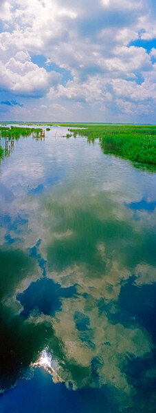 Фотография под названием "Тихая речка" - Andrey Petrosyan, Подлинное произведение искусства, Пленочная фотография