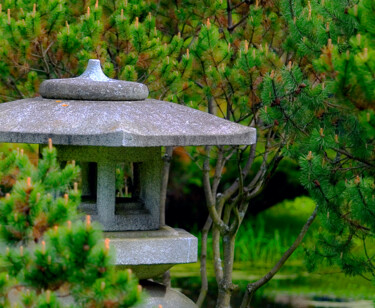 Фотография под названием "В японском саду" - Andrey Petrosyan, Подлинное произведение искусства, Цифровая фотография