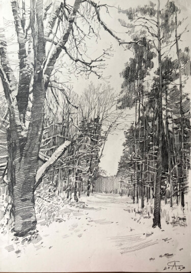 Drawing titled "Snow in Grunewald.…" by Andrei Svistunov, Original Artwork, Graphite