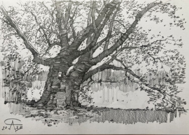 Drawing titled "Lietzenseepark. Alb…" by Andrei Svistunov, Original Artwork, Graphite