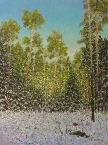 Картина под названием "В хвойном лесу" - Андрей Абрамов (Андрей Люмес), Подлинное произведение искусства, Масло