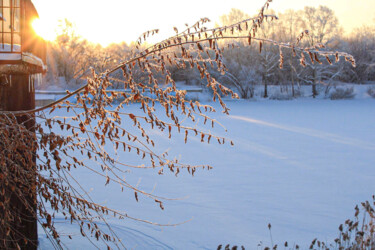摄影 标题为“Морозное утро” 由Андрей Астафьев, 原创艺术品, 数码摄影