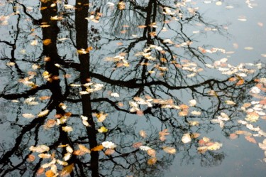 Photography titled "Les reflets sont tr…" by André Martin, Original Artwork, Non Manipulated Photography Mounted on Wood Str…