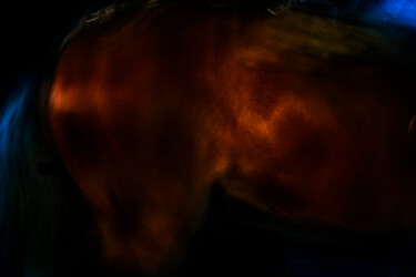 Fotografia intitolato "DRESSAGE ENERGY V" da Andres Galan, Opera d'arte originale, Light Painting