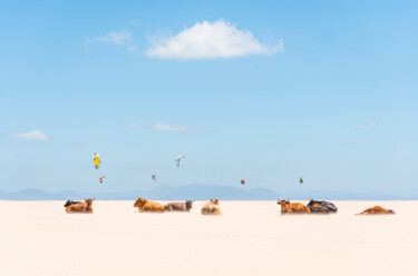 Фотография под названием "COWS AND KITES" - Andrew Lever, Подлинное произведение искусства, Цифровая фотография