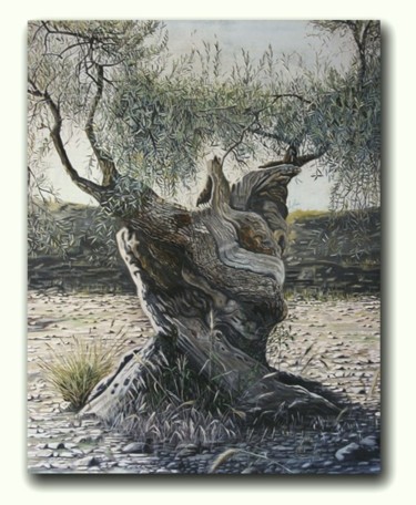 Painting titled "Olive tree" by Andrew Britton, Original Artwork