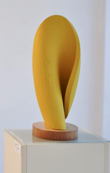 Skulptur mit dem Titel ""Deformation of the…" von Andrij Savchuk, Original-Kunstwerk, Holz