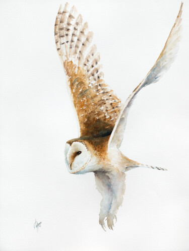 绘画 标题为“Barn owl” 由Andrzej Rabiega, 原创艺术品, 水彩