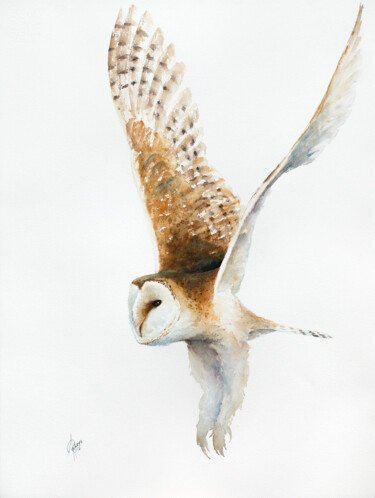 Painting titled "Barn owl" by Andrzej Rabiega, Original Artwork, Watercolor