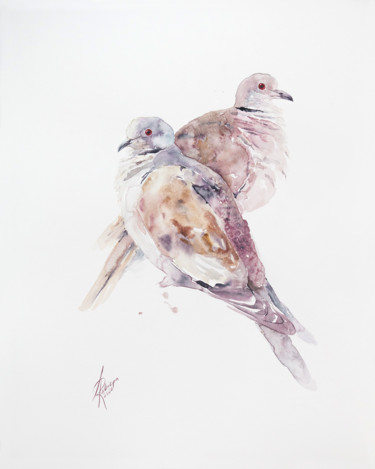 Картина под названием "Collared Dove" - Andrzej Rabiega, Подлинное произведение искусства, Акварель