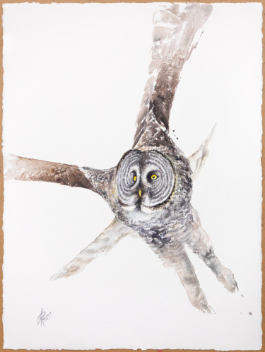 Ζωγραφική με τίτλο "Great Grey Owl" από Andrzej Rabiega, Αυθεντικά έργα τέχνης, Ακουαρέλα