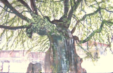 Peinture intitulée "Vieil arbre à Esse" par Andy Hudson, Œuvre d'art originale, Gouache