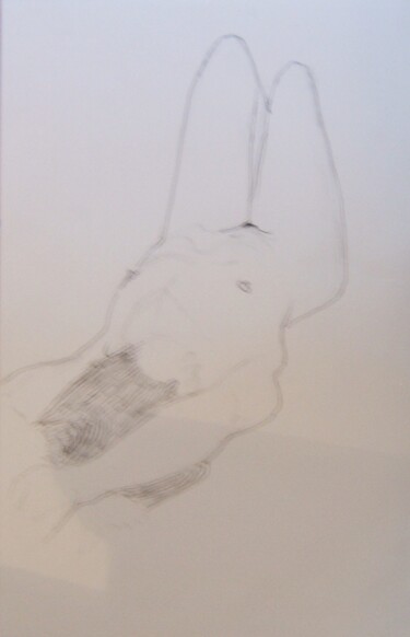Dessin intitulée "nu allongé" par Andy Hudson, Œuvre d'art originale, Crayon