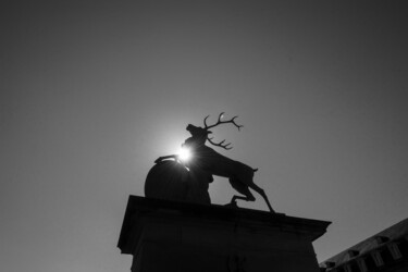 Fotografie mit dem Titel "Roaring Deer" von Andy Ridder, Original-Kunstwerk, Digitale Fotografie
