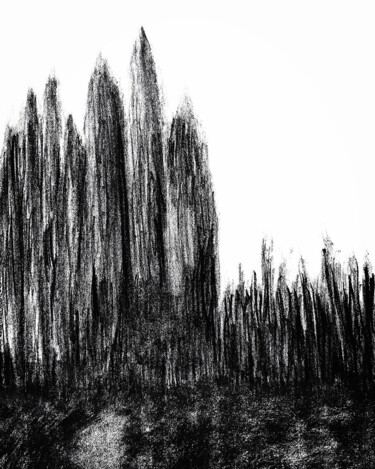 Рисунок под названием "Arboles" - Abarrosso, Подлинное произведение искусства, Древесный уголь