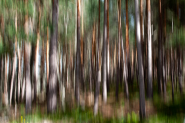 Photography titled "El bosque... 1" by Angel Ruiz, Original Artwork, Non Manipulated Photography