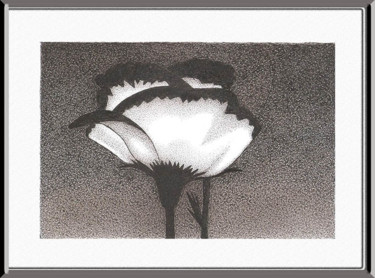 Flor em branco e preto Desenho intitulada "Flor em branco e pr…" por Angelica Trompieri, Obras de arte originais, Tinta