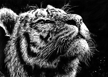 Disegno intitolato "Tigre" da Angelique Joao, Opera d'arte originale, Inchiostro