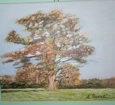 Painting titled "Albero autunnale" by Angelo Faraci, Original Artwork, Oil