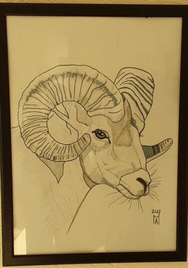 Painting titled "Ariete." by Angelo Marzullo, Original Artwork, Graphite