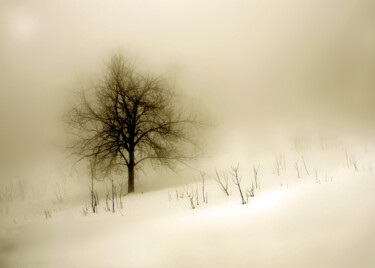 Fotografia intitolato "oltre la nebbia" da Angelo Mazzoleni, Opera d'arte originale