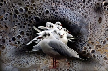 Fotografia intitolato "l'ombra del cappello" da Angelo Mazzoleni, Opera d'arte originale