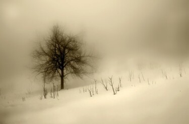 Fotografia intitolato "Oltre la nebbia" da Angelo Mazzoleni, Opera d'arte originale