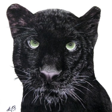 Black Panther Painting titled "Black Panther" by Anib, Original Art, Watercolor