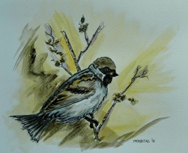 Painting titled "Bird" by Aniko Trombitasne Varju, Original Artwork, Watercolor