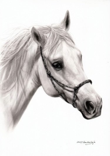Картина под названием "White Stallion" - Danguole Serstinskaja, Подлинное произведение искусства, Масло