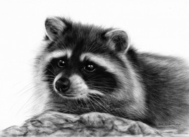 Painting titled "Raccoon" by Danguole Serstinskaja, Original Artwork, Oil